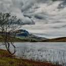 하나비젼실버홈 이미지