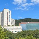 분당-390 이미지