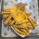 밀크밥버거 | 홍대입구역 쉐이크쉑 버거 프라이 녹차 밀크쉐이크 후기