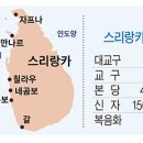 성모기획 이미지