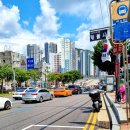 메디미스토리 이미지