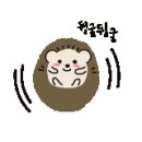 홍혜당커피