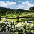 신지천 이미지