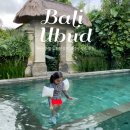 바이크아레나 | [발리 우붓]아이랑 쁠랑이 스쿨 도보 5분 거리 가성비 숙소 추천 | 라드 팔라 리조트 &amp; 스파 내돈내산 후기