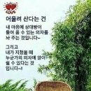 사천만 이미지