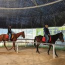 퀸즈승마장 이미지