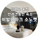홍천 비발디파크 소노펫 골드스위트룸 대추천_ 운동장,식당,게임장 등 편의시설 동반가능!