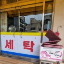 신신유리 이미지