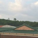 신전주식당 이미지