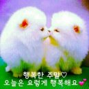 알콩달콩 이미지
