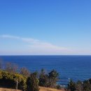 워너비무인텔 이미지