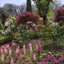 피나클랜드 이미지