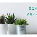 2026년 07월 13일 (월) 제목 : 르호보암의 어리석음 오늘의 말씀 : 열왕기상 12:1-14 이미지