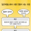 일관 이미지