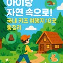 보문에코풀빌라 | “아이랑 자연 속으로! 키즈 프렌들리 숙소 BEST 10”