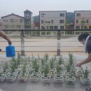 창원과학고등학교 이미지