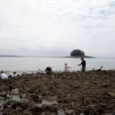 갯벌민박 이미지