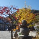 오도재거북쉼터민박 이미지