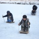 가락7리 이미지