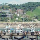 전주도배학원 | [전주도배학원] 전주도배학원 수강후 자격증 취득 후기&취업준비