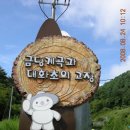 푸른강원