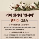 앤시아 이미지