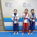 용인대비룡태권도장 이미지