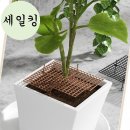흙 이미지