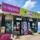 [익산 디저트 맛집 ] 익산 특산품 주실래 솔직후기
