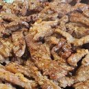 참푸른닭오리