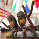 서산버드랜드 이미지