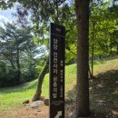 양양 진전사지 도의선사탑 | 우리나라 &#34;선종&#34; 시조 도의선사 - 양양 진전사 터