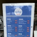 스킨스쿠버, 스킨다이빙(화) | 필리핀 세부여행 위오션 스킨스쿠버 체험다이빙 내돈내산 후기