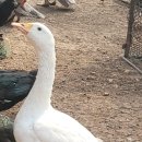 청계슈퍼 이미지