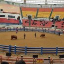 경기장매점식당 이미지