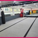 대성 합기도 이미지