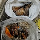 대명횟집 이미지