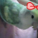 비산3동-2 이미지