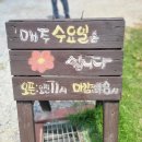 오월에국수