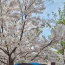 아주 게이트볼장 이미지