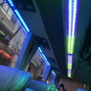 [베트남 한 달 여행 일기] - 21일차 사파 1박2일 트레킹 투어 /깟깟마을, ‘굿모닝 베트남’ 후기