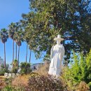 안드레아목장 이미지