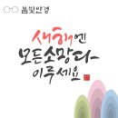 봄빛 안경 이미지