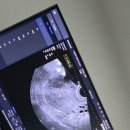 잘가또와 이미지