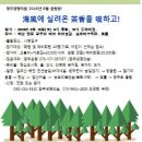 생명의 숲 이미지