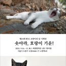 도봉-도봉-서울도봉-2492 이미지