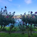 소노벨 경주 사우나 이미지