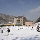 양지파인리조트 이미지