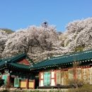 태인농장2 이미지