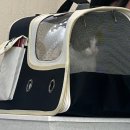 고덕 365 동물의료센터 이미지